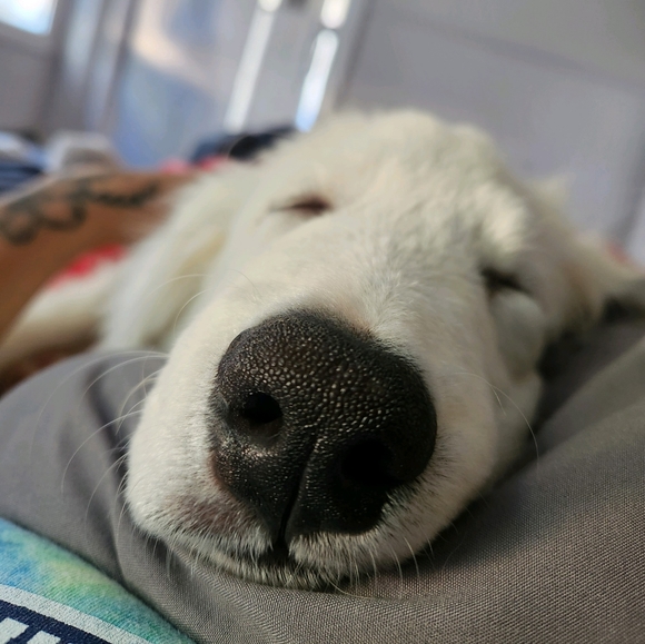 Meet your Posher, Jessica - Picture 1 of 1